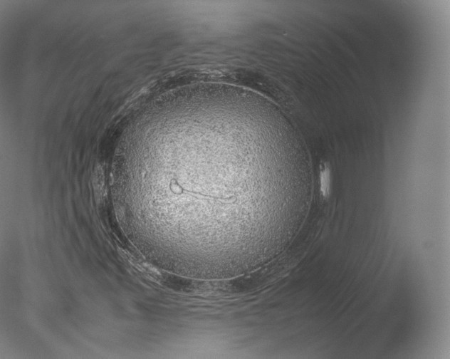 X0000077281347200610271448