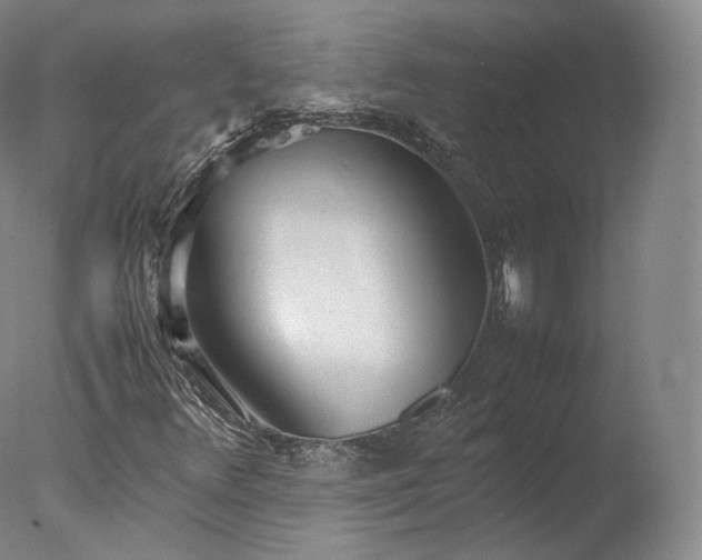 X0000077281348200610271448