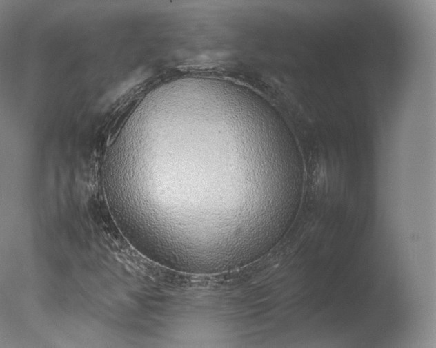 X0000077281350200610271448