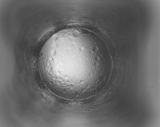 X0000077281351200610271448