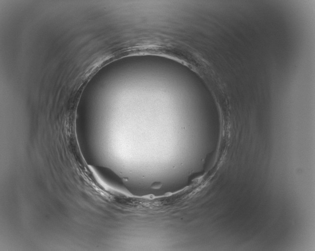 X0000077281353200610271448