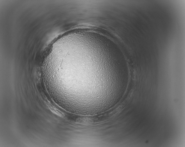 X0000077281355200610271448