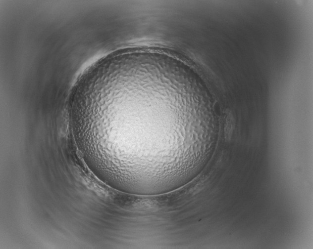 X0000077281358200610271448