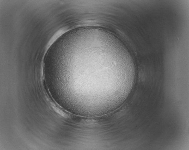 X0000077281370200610271447