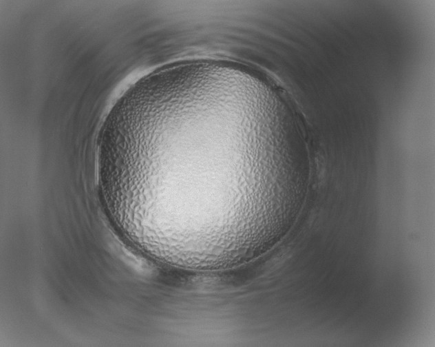 X0000077281371200610271447