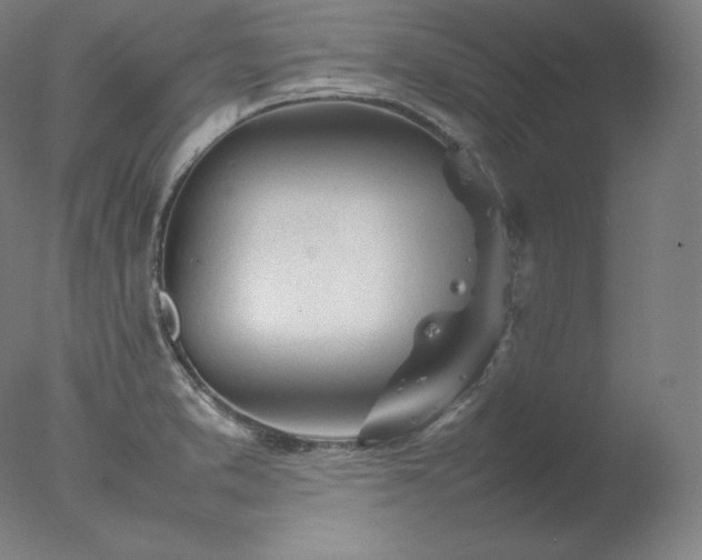 X0000077281373200610271447