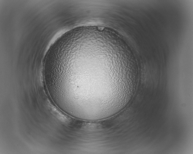 X0000077281374200610271447