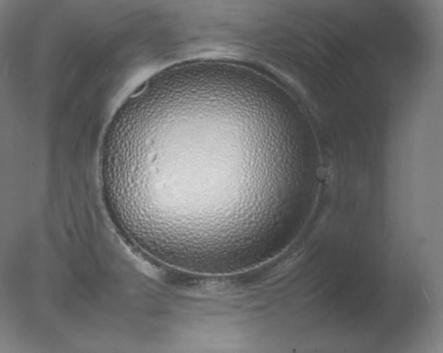 X0000077281375200610271447