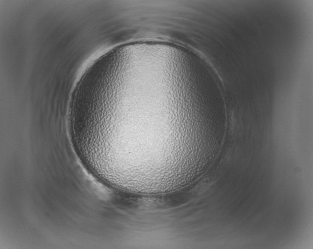 X0000077281379200610271447