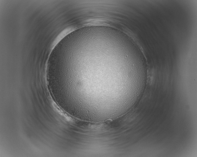 X0000077281386200610271447