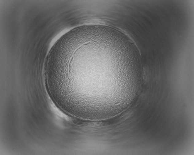 X0000077281387200610271447