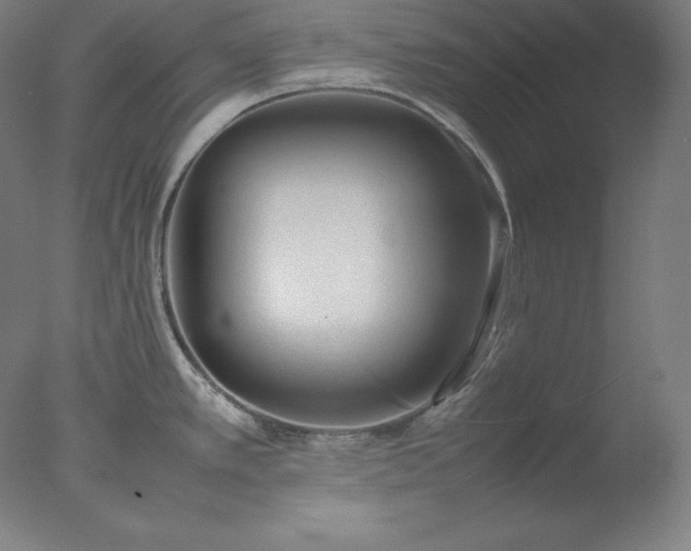 X0000077281389200610271447