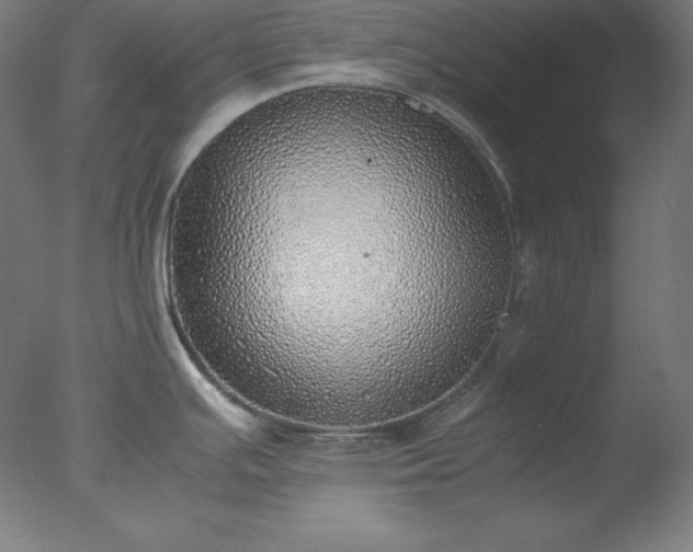 X0000077281391200610271447