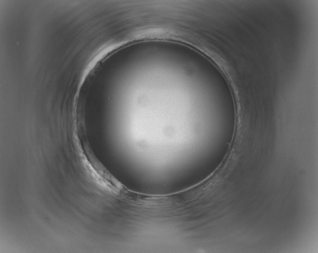 X0000077281392200610271447