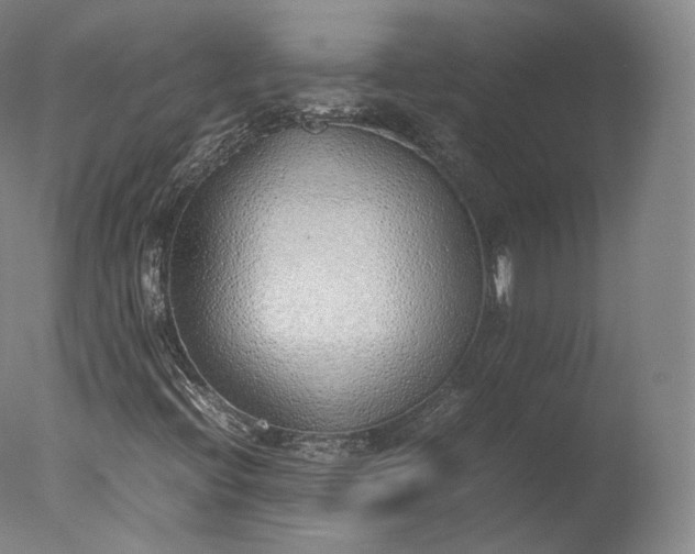 X0000077281396200610271446