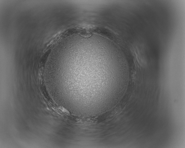 X0000077281397200610271446