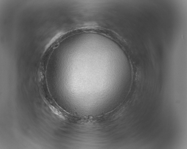 X0000077281400200610271446