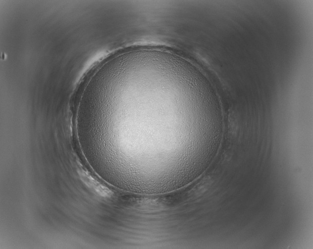 X0000077281408200610271447