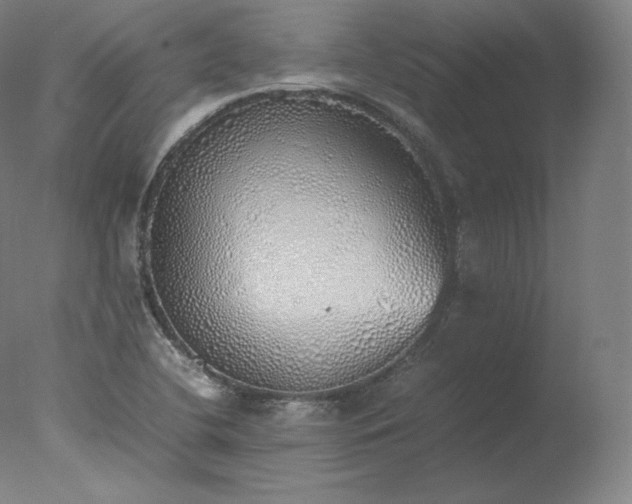 X0000077281412200610271447