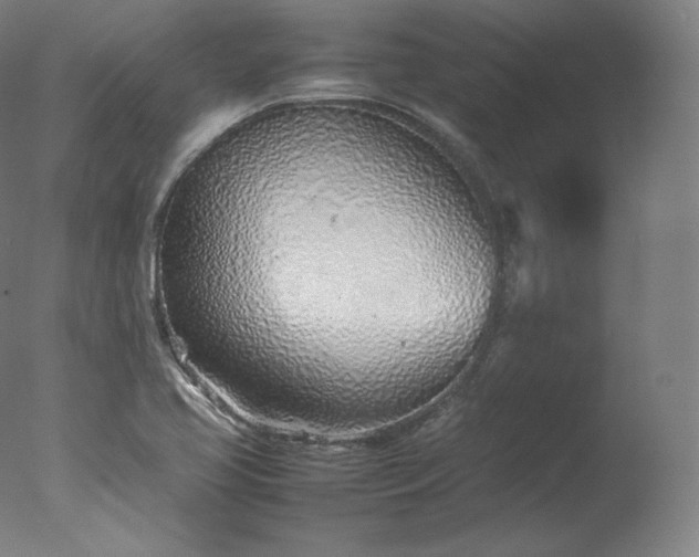 X0000077281413200610271447