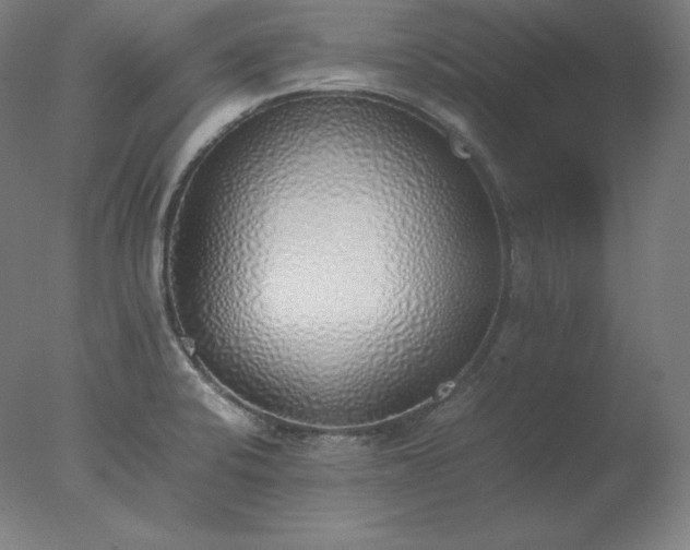 X0000077281424200610271447