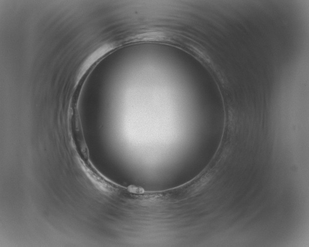 X0000077281426200610271447