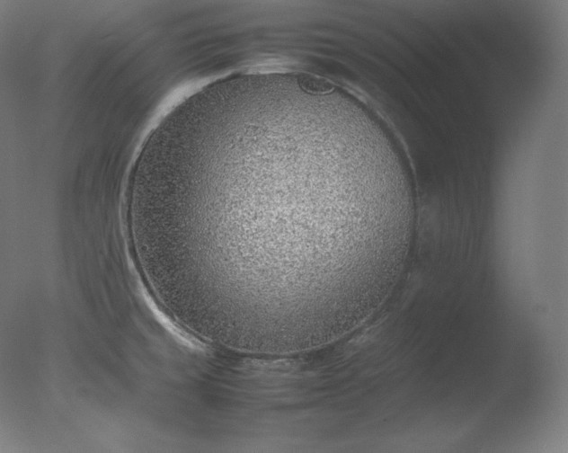 X0000077281429200610271447