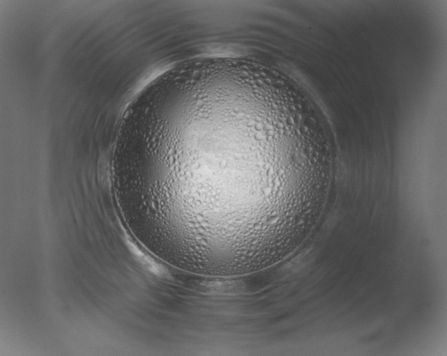 X0000077281433200610271447