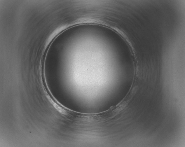 X0000077281438200610271447