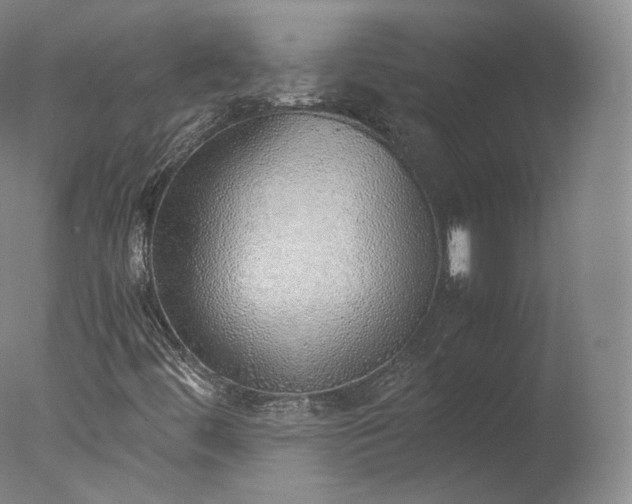 X0000077281444200610271446