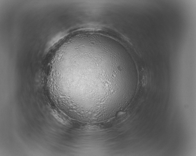 X0000077281448200610271446