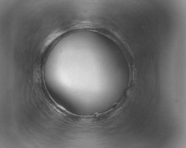X0000077281453200610271446