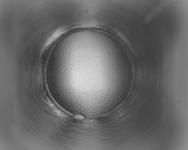 X0000077281456200610271446