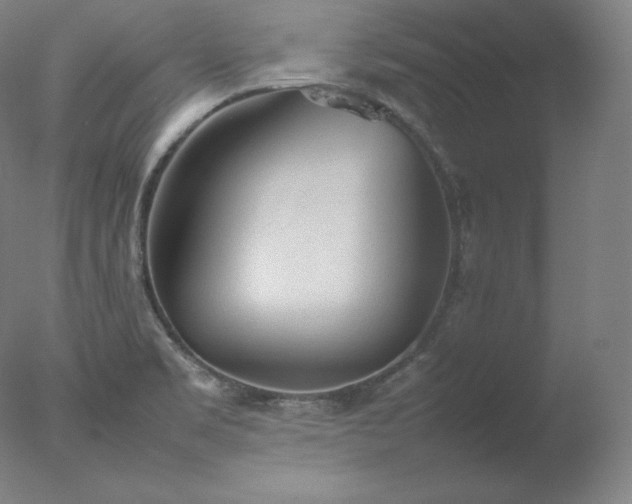 X0000077281469200610271446