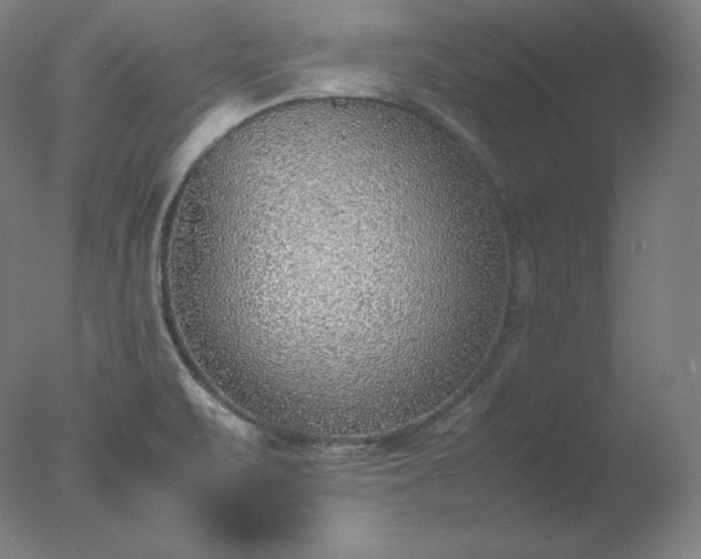 X0000077281471200610271446
