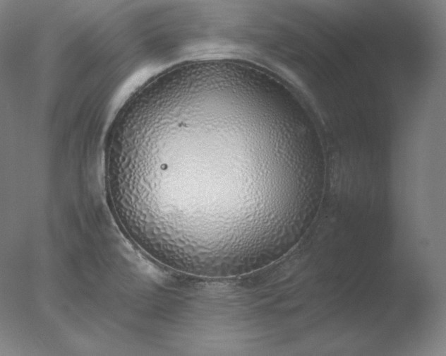 X0000077281472200610271446
