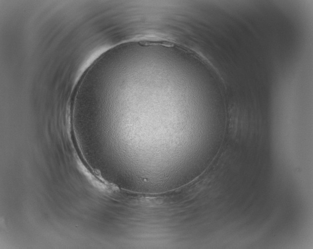 X0000077281476200610271446