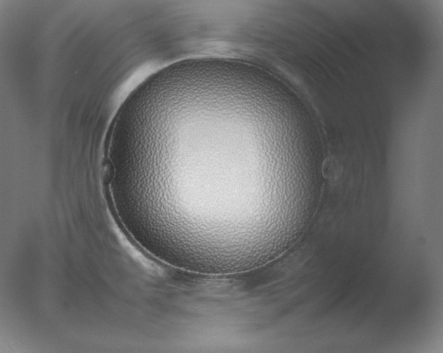 X0000077281479200610271446