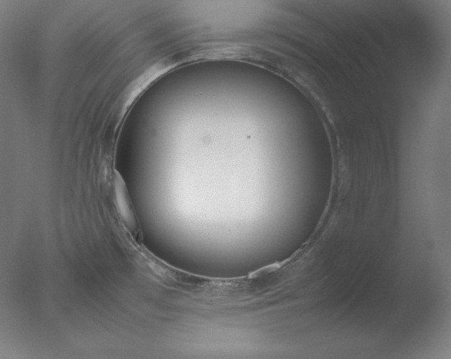 X0000077281481200610271446