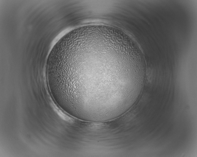 X0000077281482200610271446