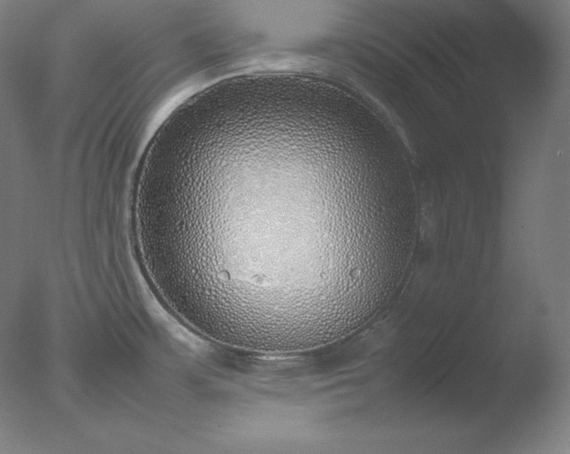 X0000077281483200610271446