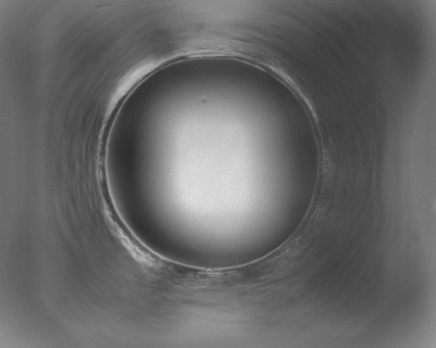 X0000077281485200610271446