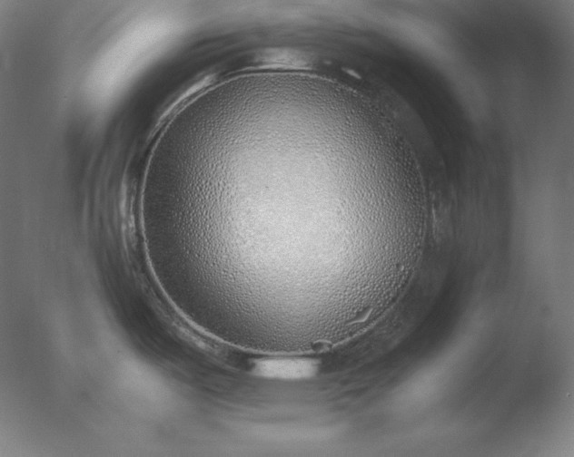 X0000077281487200610271446