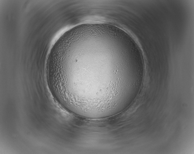 X0000077281488200610271445