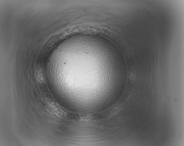 X0000077281490200610271445