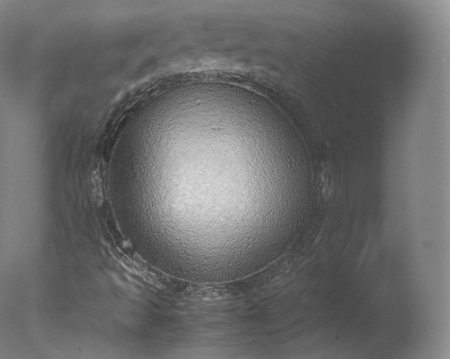 X0000077281493200610271445