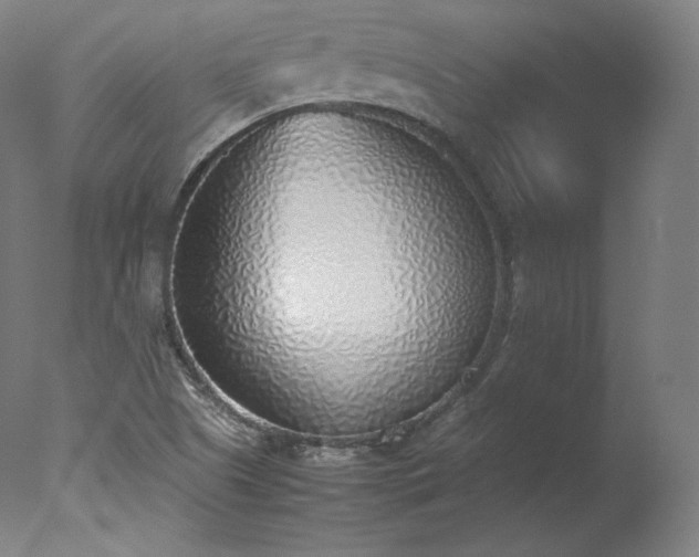 X0000077281505200610271445