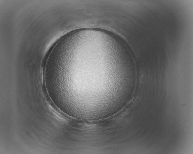 X0000077281509200610271445