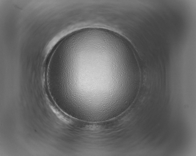 X0000077281511200610271445