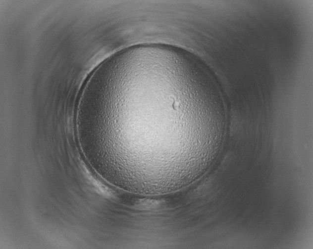 X0000077281513200610271445